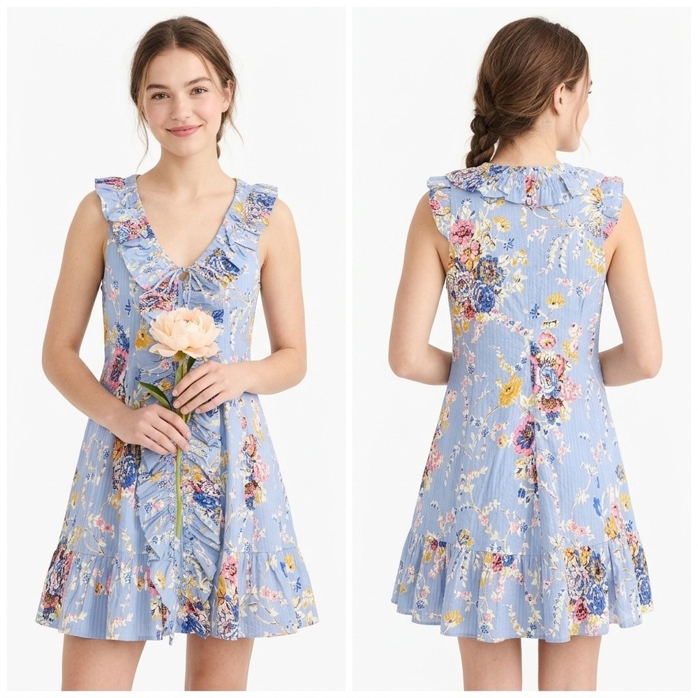 NWT Caroline Constas Kylah Print Cotton Mini Dress Blue Womens Small